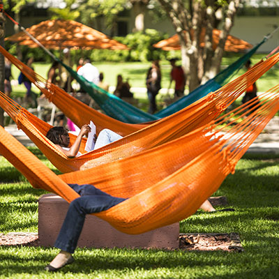 Students Studying on Hammocks