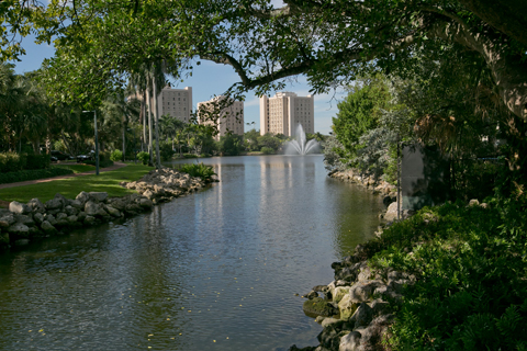 University of Miami Campus