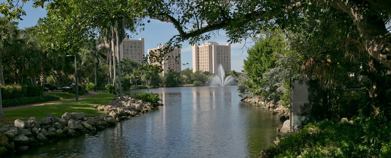 University of Miami Campus