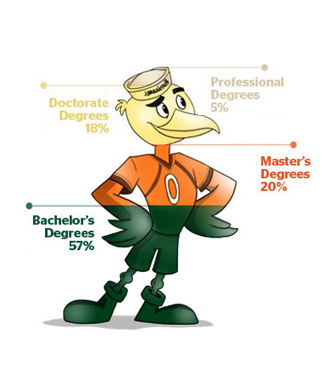 Ibis Infographic