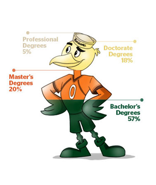Ibis Infographic