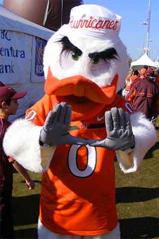 Sebastian - UM Mascot